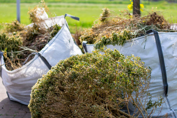 Debris Removal in Mohnton, PA